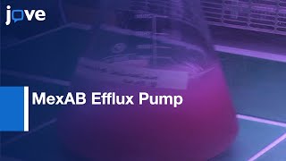 Investigation Of MexAB Efflux Pump From Pseudomonas aeruginosa l Protocol Preview [upl. by Eisset22]