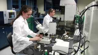 Undergrads Research Metalorganic Framework at Clarkson University [upl. by Pomeroy930]