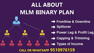 MLM Binary Plan ki puri Jankari  MLM Binary Business Plan Details  YAKS Group  Binary Software [upl. by Sone697]