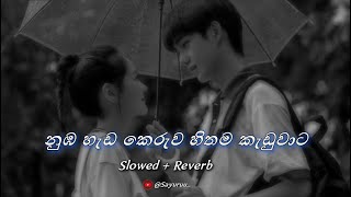 Nohithunata  නොහිතුනාට  Slowed  Reverb [upl. by Nossah]