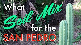 What soil mix for the San Pedro Cactus very simple recipe [upl. by Neetsirhc]