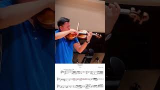 Tzigane  Ravel classicalmusic violinist violin violinmusic violino [upl. by Jeannie]