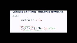 Collecting Like Terms Simplifying Expressions [upl. by Boswall363]