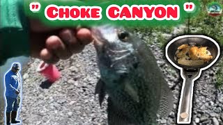 CHOKE CANYON “Pesca y Cocina De Crappie” 🎣🤙🏻 [upl. by Gunzburg937]