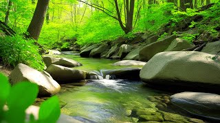 Sleep Serenely To Soothing River Sounds In The Wild  Asmr Forest Creek Relaxation [upl. by Chavey]