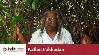 Kallen Pokkudan about Mangrove Forest  India Video [upl. by Occir]