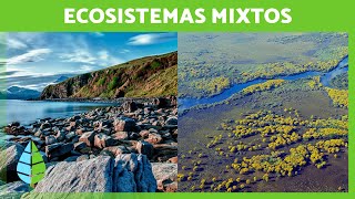 Los ECOSISTEMAS MIXTOS 🏝️🏞️ Características TIPOS de Ecosistemas Mixtos y Ejemplos [upl. by Nosneh]