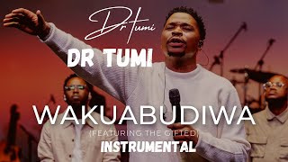 Dr Tumi  WAKUABUDIWA Instrumental [upl. by Oznarol]