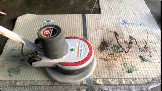 Dry Carpet Cleaning vs SteamCleaning [upl. by Ahseekan315]