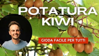 Potatura della pianta di kiwi guida facile [upl. by Heddy]