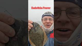 PLATTE von der Seebrücke PREROW fishing youtubehighfive [upl. by Yt319]