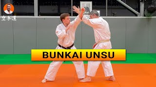 Unsu Bunkai  Karate [upl. by Cyril]