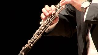 JS Bach Oster Oratorium BWV 249 Adagio  Kai Rapsch Oboe [upl. by Ylro]