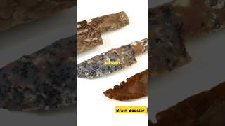 Paleolithic Era stoneage facts historyfacts brainbooster ytviralshorts [upl. by Noevad]