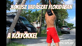 Kókuszvadászat Floridában a Kölyökkel [upl. by Janice]