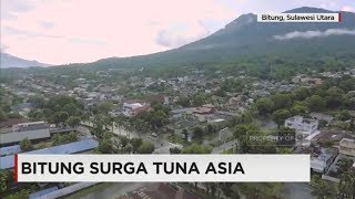 Bitung Surga Tuna Asia [upl. by Viccora]