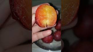 SOFT ampJUICY PLUM foryou asmr trending food plum shorts reelstiktok motivationviralJENNIE [upl. by Nelav839]