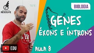 Éxons e Íntrons  Gene Ação diferencial do gene na formação do RNA [upl. by Aitel326]