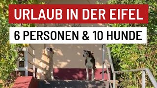 Roomtour Ferienhaus Casa del bosque in der Eifel für 6 Personen amp 10 Hunde 🐕 [upl. by Emory]