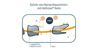 die Beraterapotheke empfiehlt Keltican® forte [upl. by Nnylrebma]