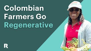 Colombia’s Farmers Go Regenerative [upl. by Anirdnajela841]