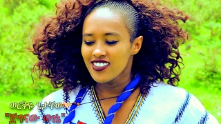 Workye Getachew  Jegnaw Wegene  ጀግናው ወገኔ  New Ethiopian Music 2017 Official Video [upl. by Ehcram]