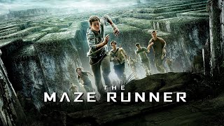 The Maze Runner Full Movie Review in Hindi  Story and Fact Explained  Dylan OBrien  Will Poulter [upl. by Merle]