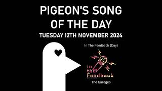 In The Feedback Day  Pigeons Song of the Day 12112024 [upl. by Eceined36]