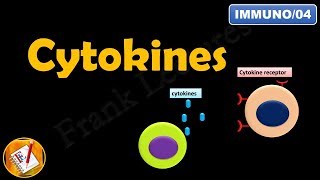 CYTOKINES  ILs INFs TNFs CSFs and Chemokines FLImmuno04 [upl. by Airdnua]