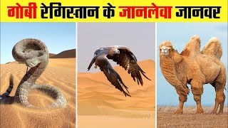 गोबी के रेगिस्तान के जानवरAnimals Found In Gobi DesertHindi [upl. by Darum]