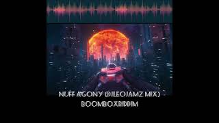 Nuff Agony DjLeoJamz Mix BoomboxRDDM dancehall [upl. by Llertal]