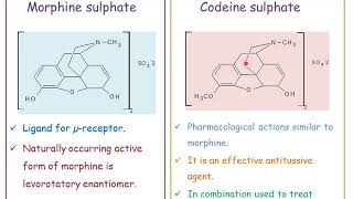 Narcotic analgesics Medicinal ChemistryI [upl. by Ikey]