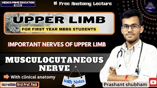 Musculocutaneous Nerve  Nerves of upper limb  Branches of musculocutaneous nerve mbbs [upl. by Leffert]