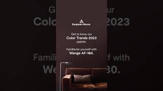 Color Intro Wenge AF180  Benjamin Moore Color Trends 2023 [upl. by Jobie714]