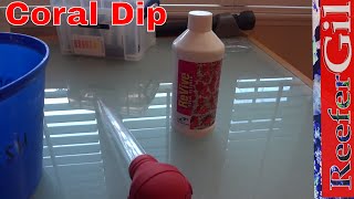 Coral Dip Using Revive Coral Cleaner Saltwater Aquarium [upl. by Bilski]