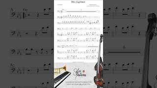 DIEZ LAGRIMAS HERMANOS LEBRON Sheet Music Orchestra [upl. by Stevens355]