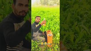 1500ki2 music tranding dance song farming love viralshorts amitsainirohtakiya factstrip [upl. by Naugan]