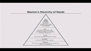 Lecture 13 Stress Status and Social Hierarchy 25 Marcch 2013 m4v [upl. by Hbahsur429]