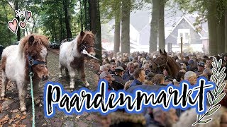 Vlog23 Ponys redden van de slacht  Paardenmarkt Zuidlaren [upl. by Epolenep]