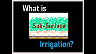 Subsurface Irrigation Method [upl. by Marcela]