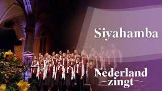 Nederland Zingt Siyahamba [upl. by Roper916]