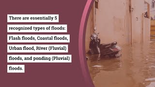 What Are The Various Types of Floods [upl. by Jerol]