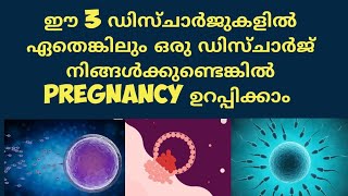 3 Type Early Pregnancy Discharge Malayalam Deechus World [upl. by Eenram111]