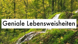 Geniale Lebensweisheiten  Witzige Zitate amp Weisheiten des Lebens [upl. by Bahr]