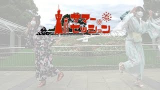 【赤蝶×きこり】東京サマーセッション 踊ってみた [upl. by Ahsekat]