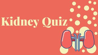 Kidney Quiz  Anatomy amp Physiology [upl. by Rosco]