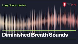 Diminished Breath Sounds  EMTprepcom [upl. by Quincy582]