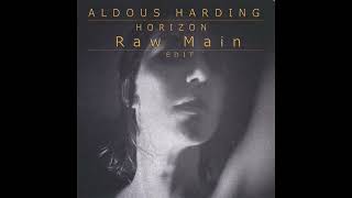 Aldous Harding  Horizon Raw Main Edit [upl. by Epstein]