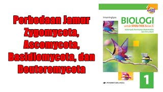 Perbedaan Jamur Zygomycota Ascomycota Basidiomycota dan Deuteromycota [upl. by Buhler567]