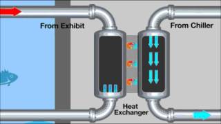 How a heat exchanger works [upl. by Erlinna387]